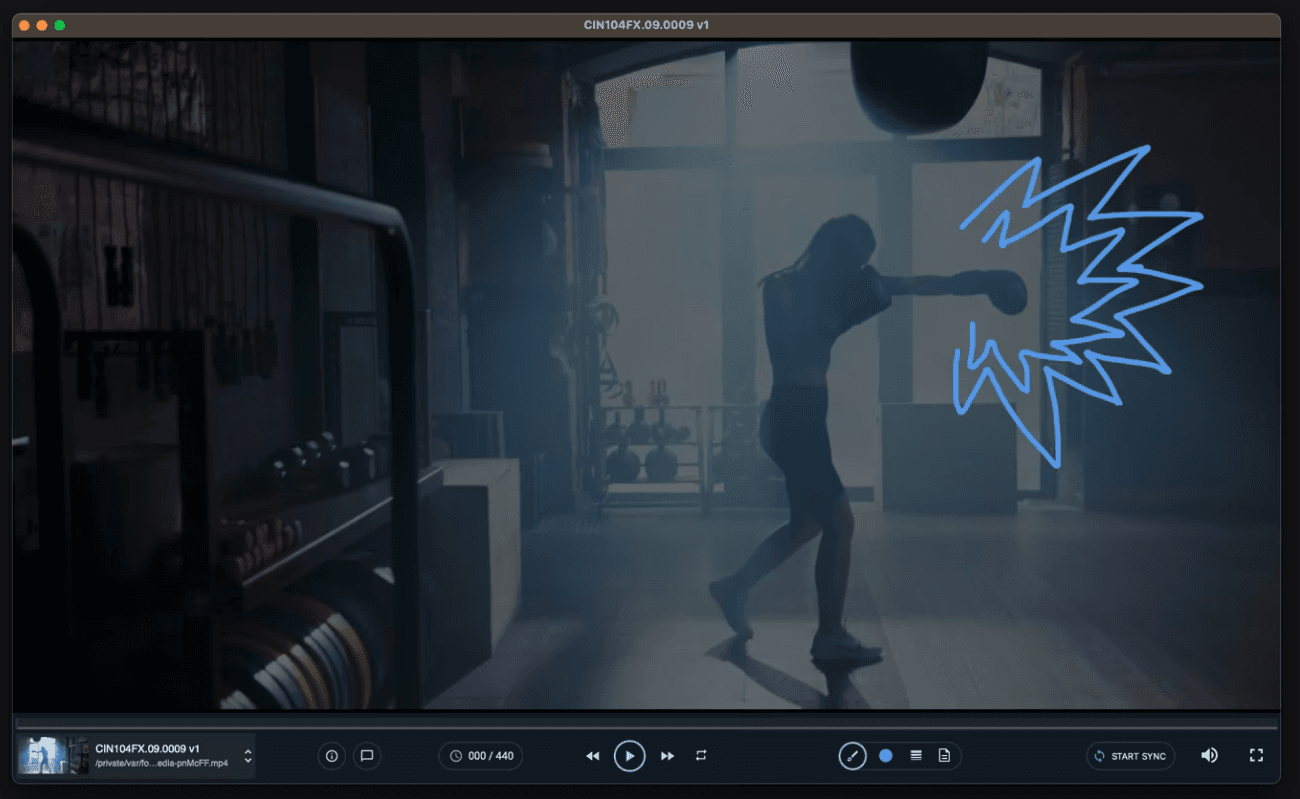 ftrack cineSync Play